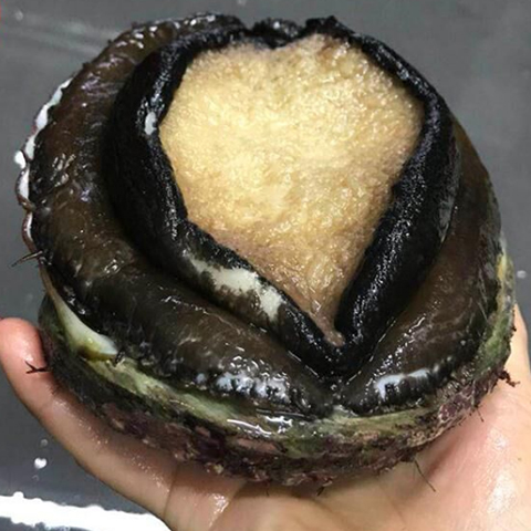 &#29233;&#20307;&#32946;&#23448;&#32593;
