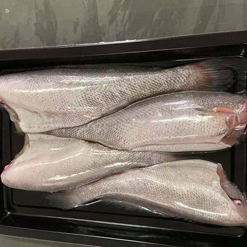 &#29233;&#20307;&#32946;&#23448;&#32593;