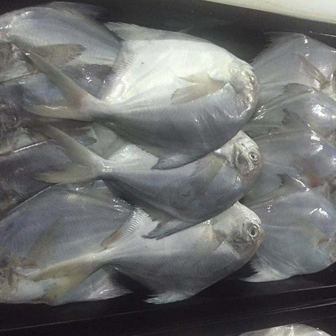 &#29233;&#20307;&#32946;&#23448;&#32593;